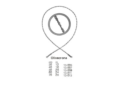 ORSON-INTL (3)